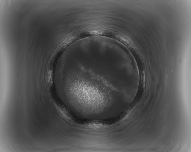 X0000087610598200704271342