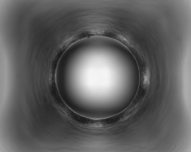 X0000087610600200704271342