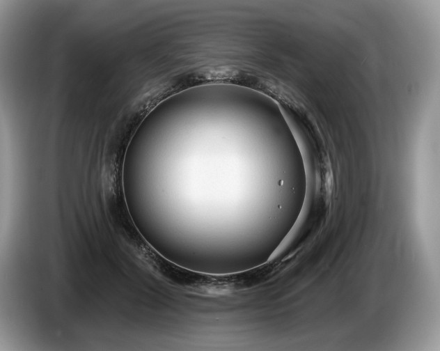 X0000087610604200704271342