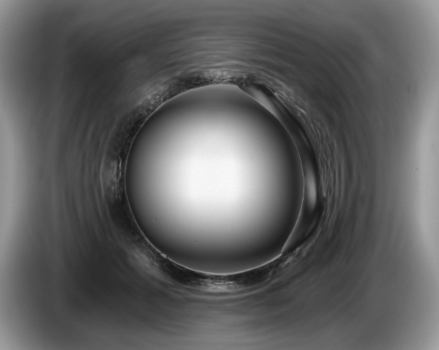 X0000087610605200704271342