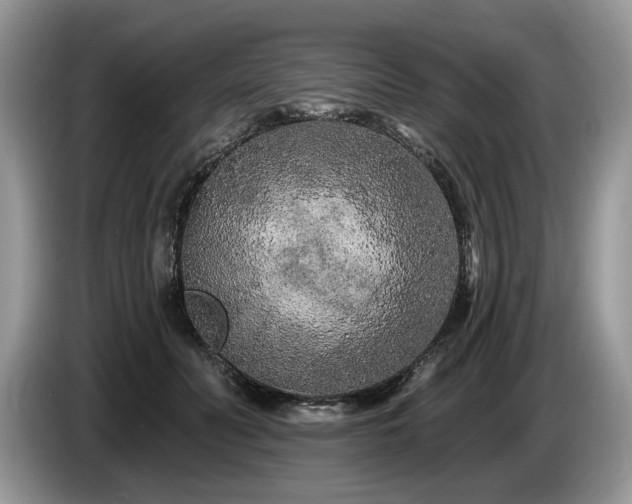 X0000087610606200704271342