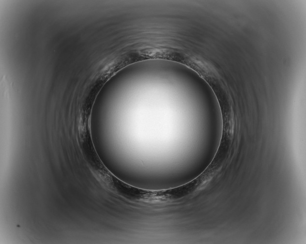 X0000087610607200704271342