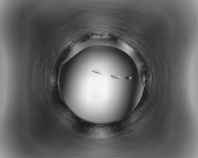 X0000087610608200704271342