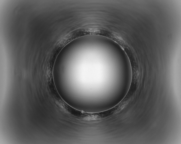 X0000087610609200704271342