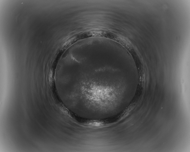X0000087610610200704271342