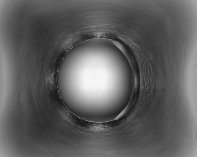 X0000087610611200704271342