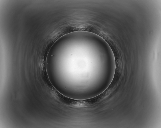 X0000087610612200704271342