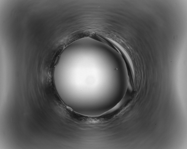 X0000087610613200704271342