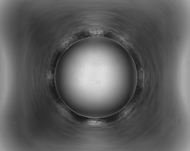 X0000087610614200704271342