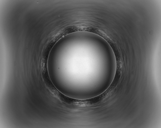 X0000087610615200704271342
