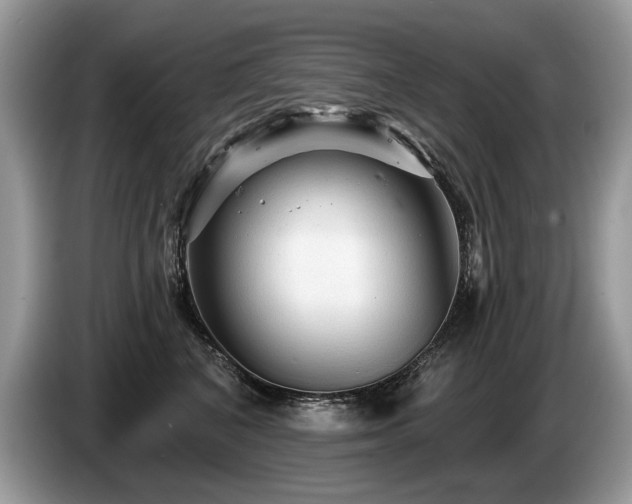 X0000087610616200704271342