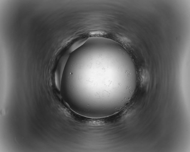 X0000087610619200704271342