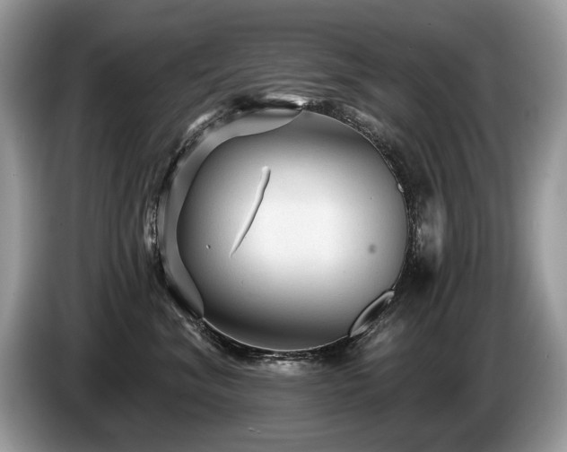 X0000087610620200704271342