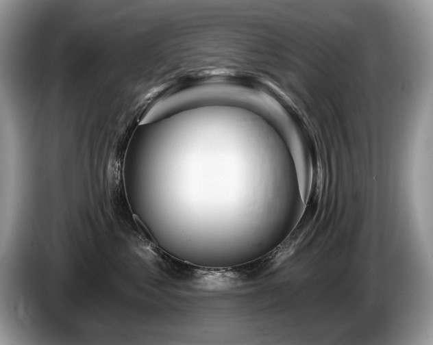 X0000087610621200704271342