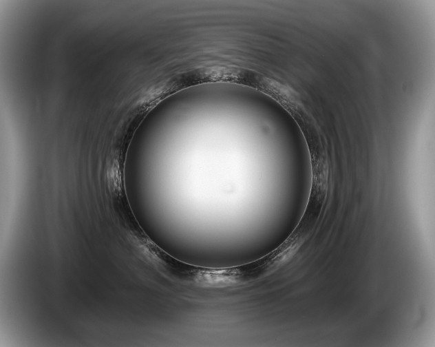 X0000087610622200704271342
