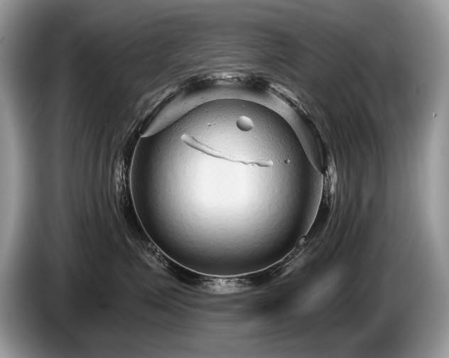 X0000087610623200704271342