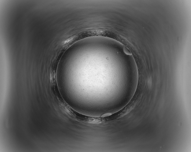 X0000087610624200704271342