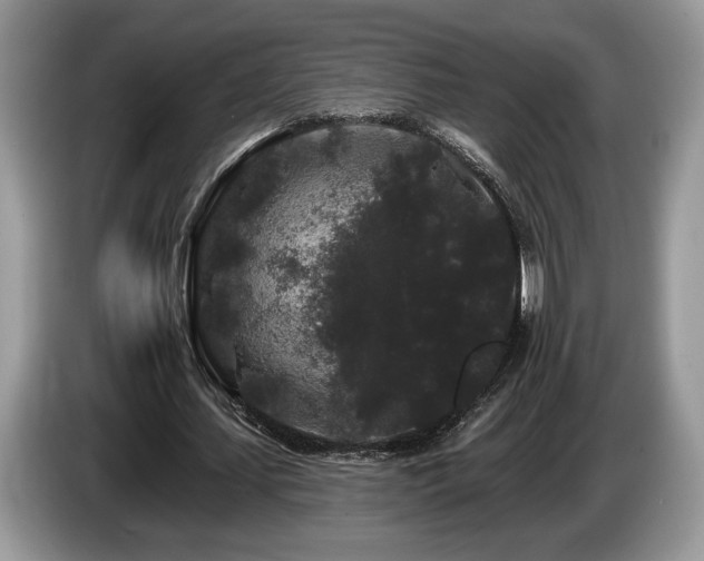 X0000087610627200704271341