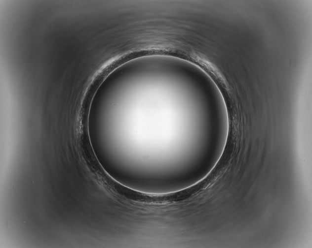 X0000087610628200704271341
