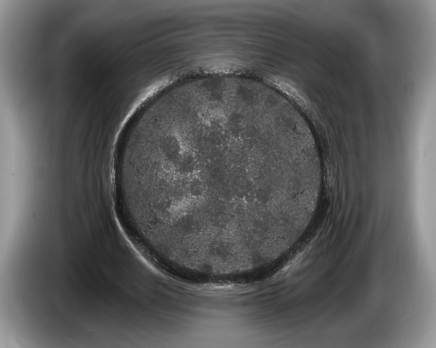 X0000087610630200704271341