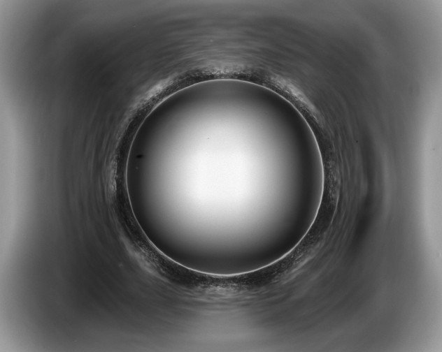 X0000087610631200704271341