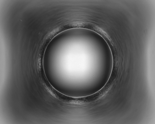 X0000087610633200704271341