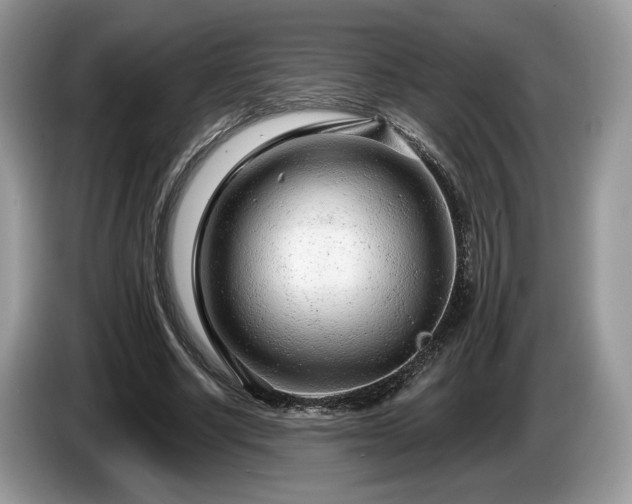 X0000087610634200704271341