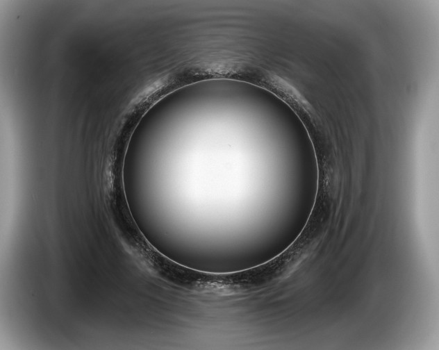 X0000087610635200704271341
