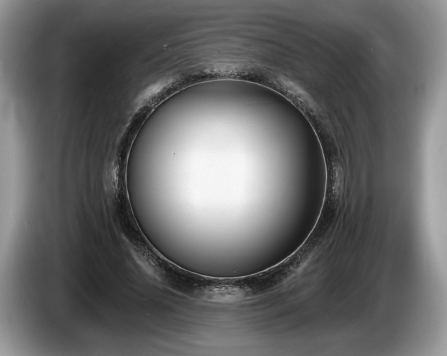 X0000087610636200704271341