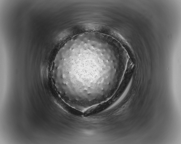 X0000087610637200704271341