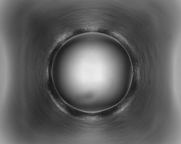 X0000087610638200704271341