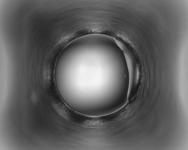 X0000087610639200704271341