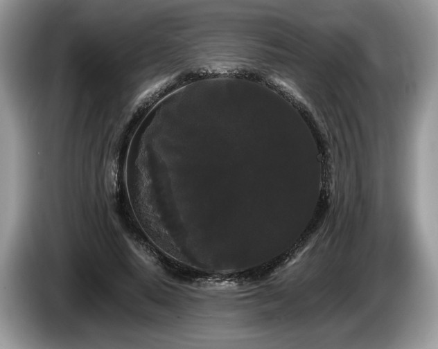 X0000087610640200704271341