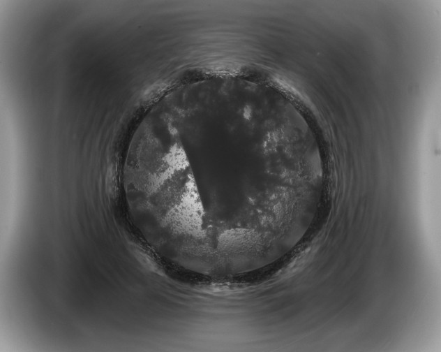 X0000087610641200704271341