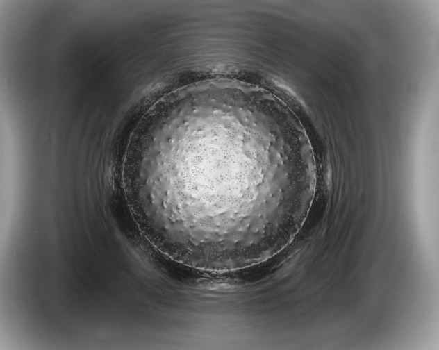 X0000087610643200704271341