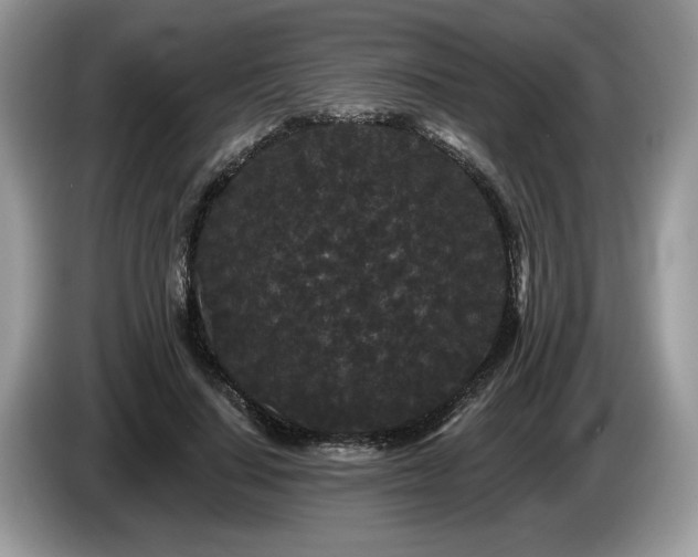 X0000087610644200704271341