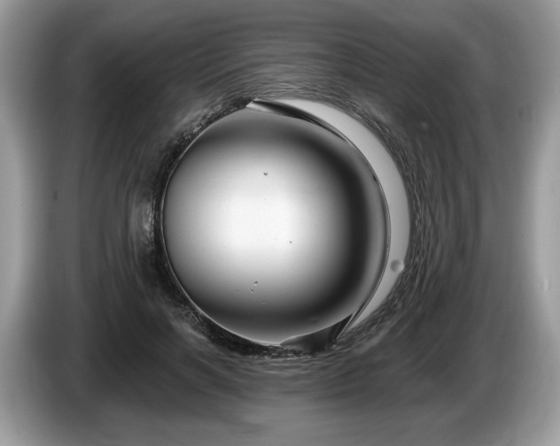 X0000087610646200704271341