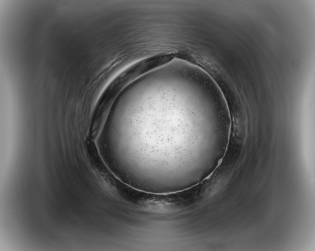 X0000087610648200704271341