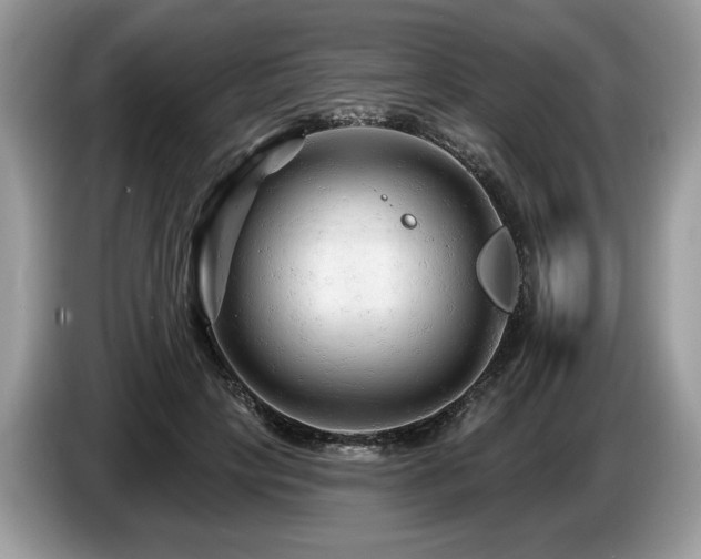 X0000087610649200704271341