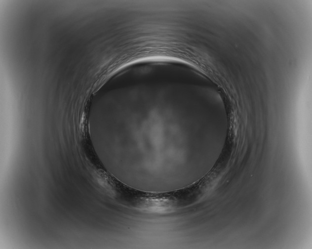 X0000087610650200704271341