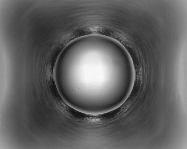 X0000087610651200704271341