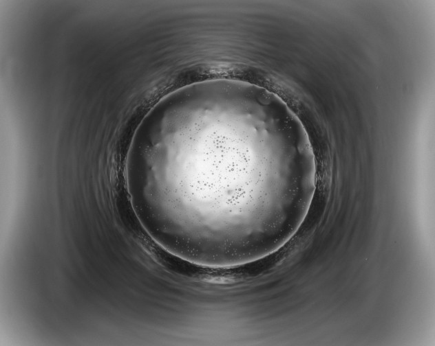X0000087610653200704271341