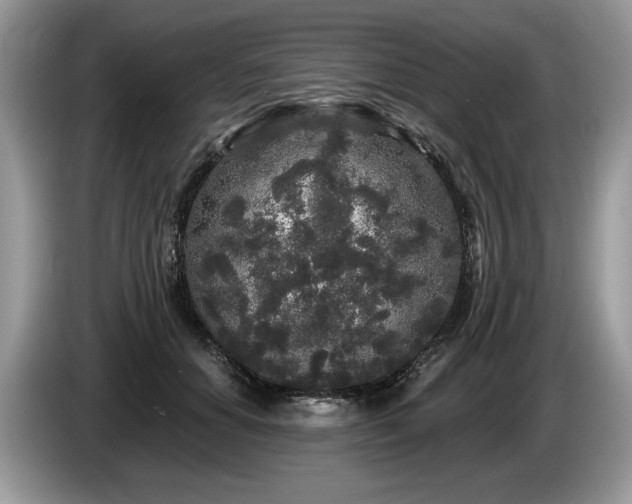 X0000087610654200704271341