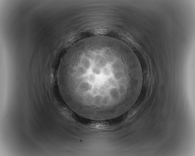 X0000087610655200704271341