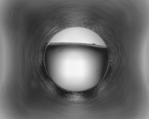 X0000087610656200704271341