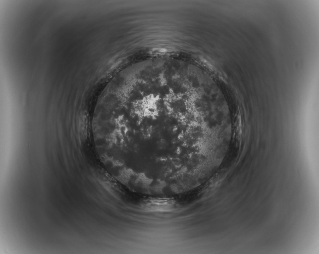X0000087610659200704271341