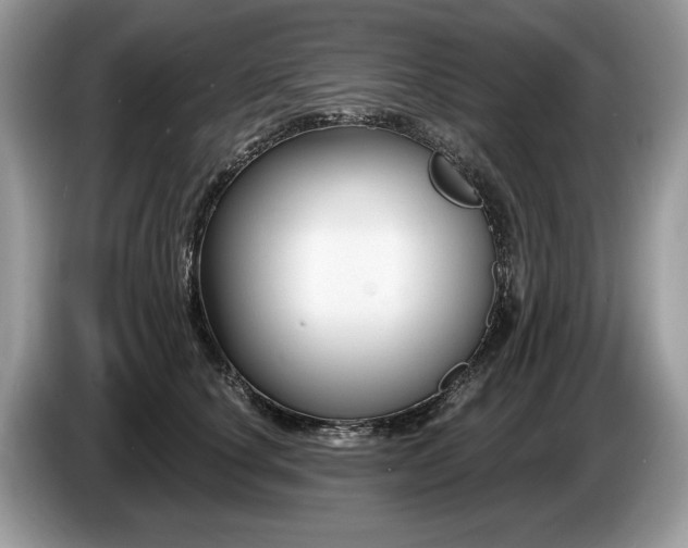 X0000087610660200704271341