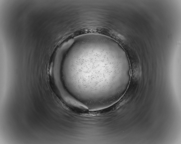 X0000087610661200704271341