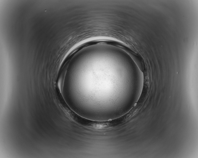 X0000087610662200704271341
