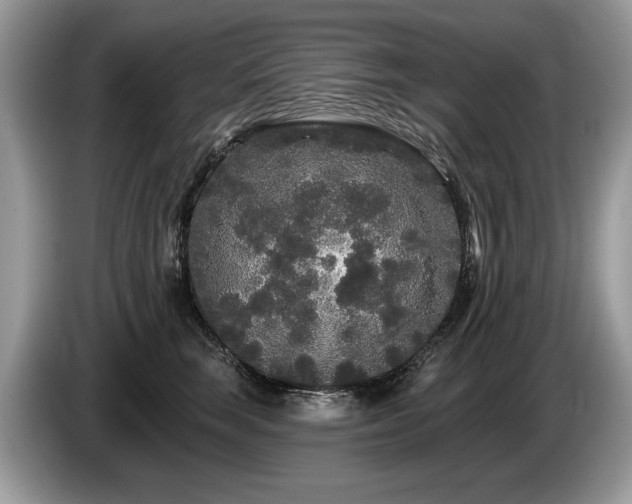 X0000087610663200704271341